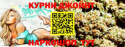 гашик Моздок