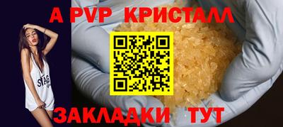 гашик Моздок