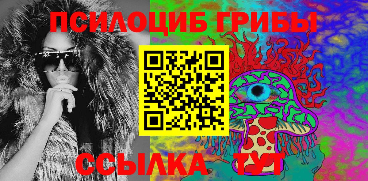 Псилоцибиновые грибы Psilocybine cubensis Урай